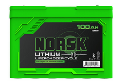 100AH 12V LIFEPO4 HEATED Lithium Deep Cycle Battery – Guardian