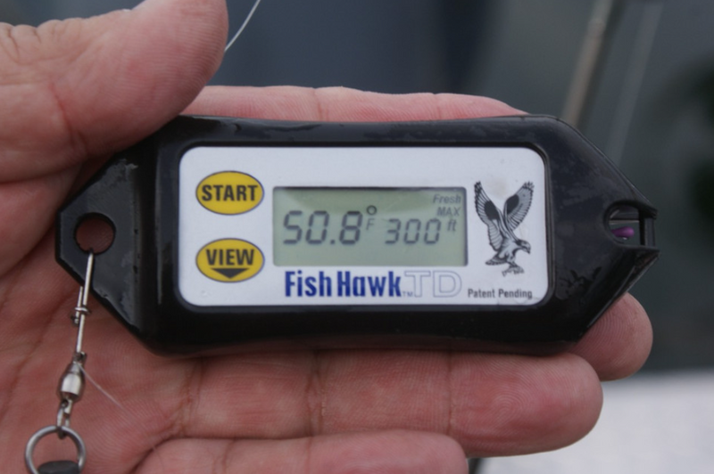 Fish Hawk TD (Out of stock for 2025)