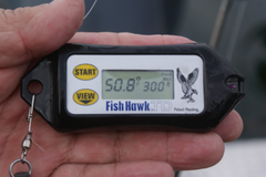 Fish Hawk TD (Out of stock for 2025)